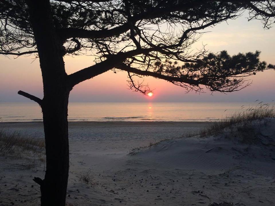 Palangos Sveciu Namai Hotel Palanga Buitenkant foto