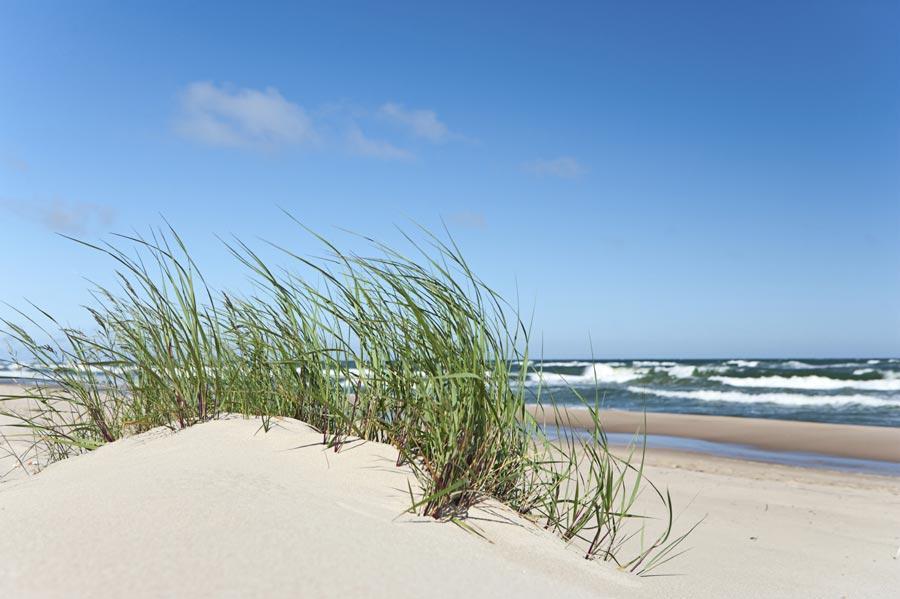 Palangos Sveciu Namai Hotel Palanga Buitenkant foto